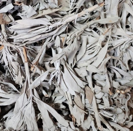 1/2 lb Loose White Buffalo Sage